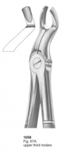 Fig. 67A upper third molars 